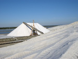 camelles de sel à Aigues-Mortes